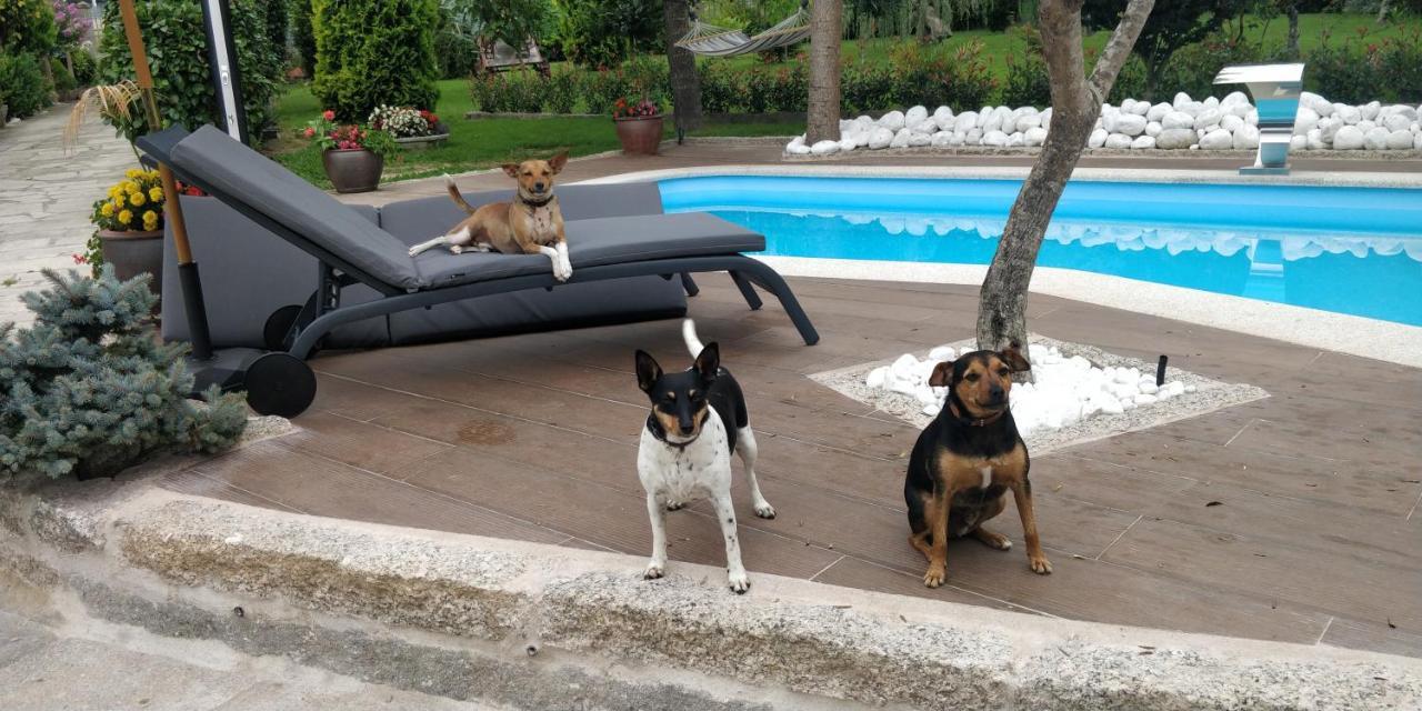 Casa Barranqueiro Vilaboa ภายนอก รูปภาพ