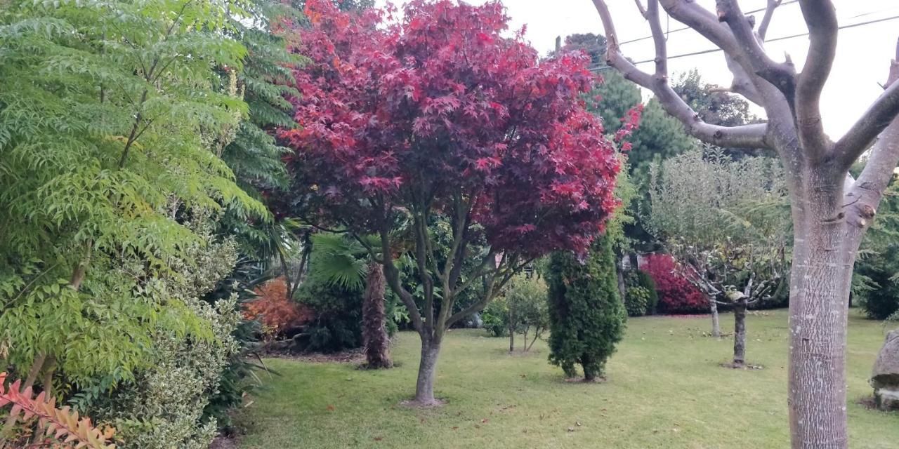 Casa Barranqueiro Vilaboa ภายนอก รูปภาพ